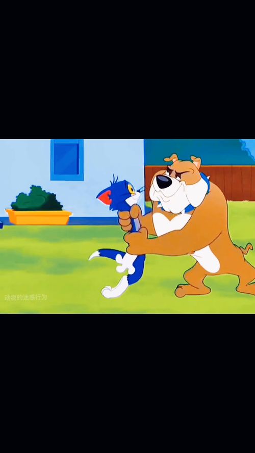 動(dòng)畫片中的離譜行為 那些匪夷所思的代理代辦名場面